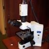 Yes The Stereo Guy does video on pathology microscopes.
